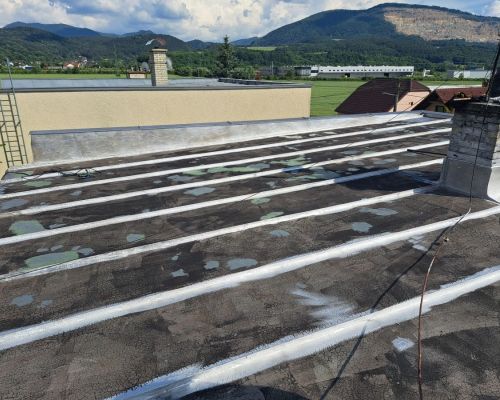 Náter lepenkovej strechy Považská Bystrica